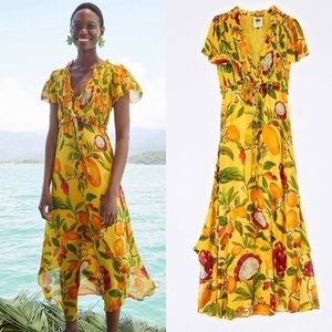 Farm Rio Fruit Lovers Maxi Dress